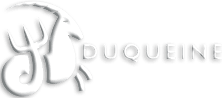  Логотип Duqueine Team